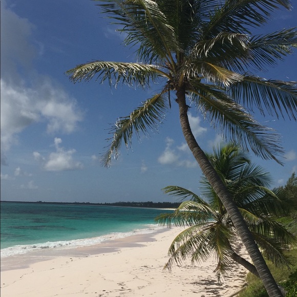 Happy Poshing! - Picture 7 of 13